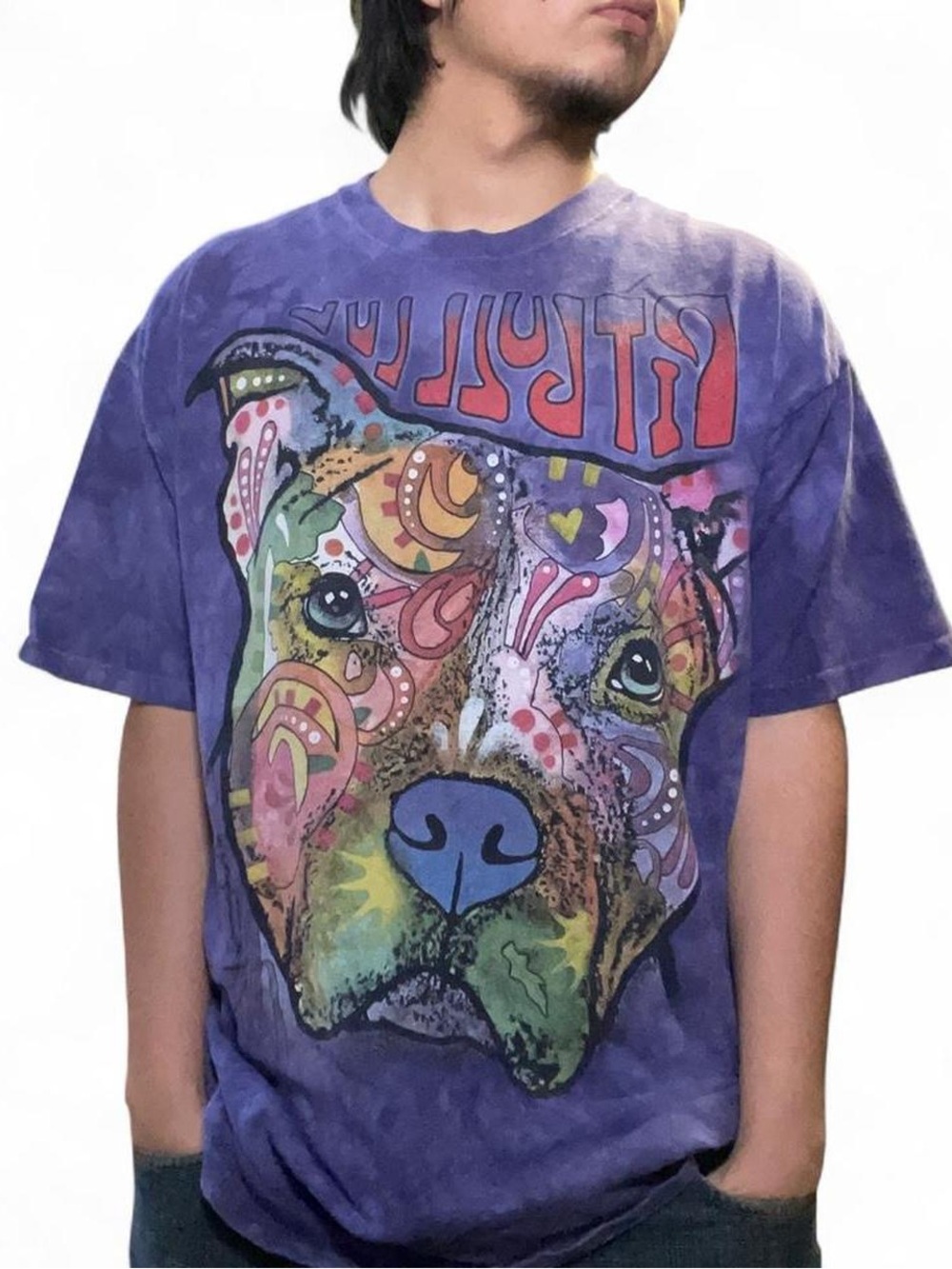 The Mountain Pitbull Luv Dean Russo‎ Art Purple Tie Dye T-Shirt XL